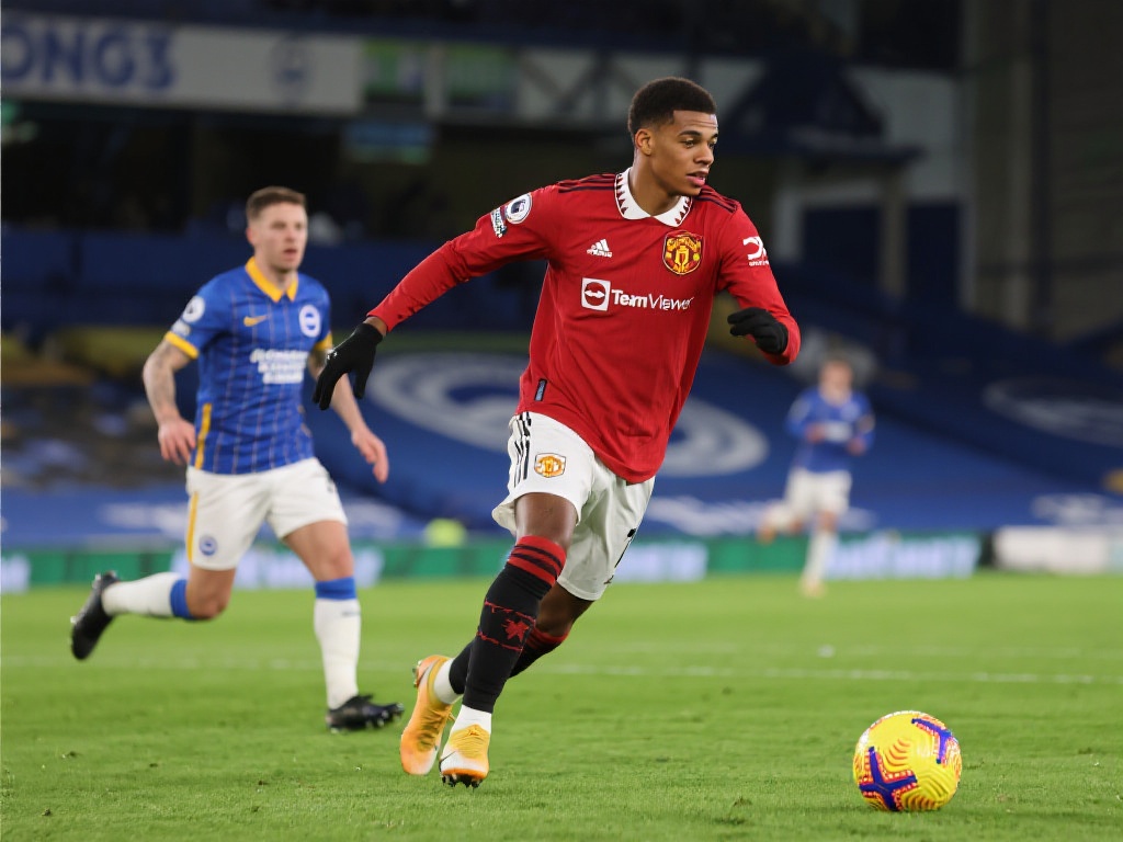 美国职业大 美国职业大